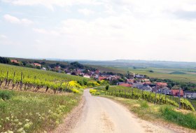 Ensheim &copy; S.Bottler
