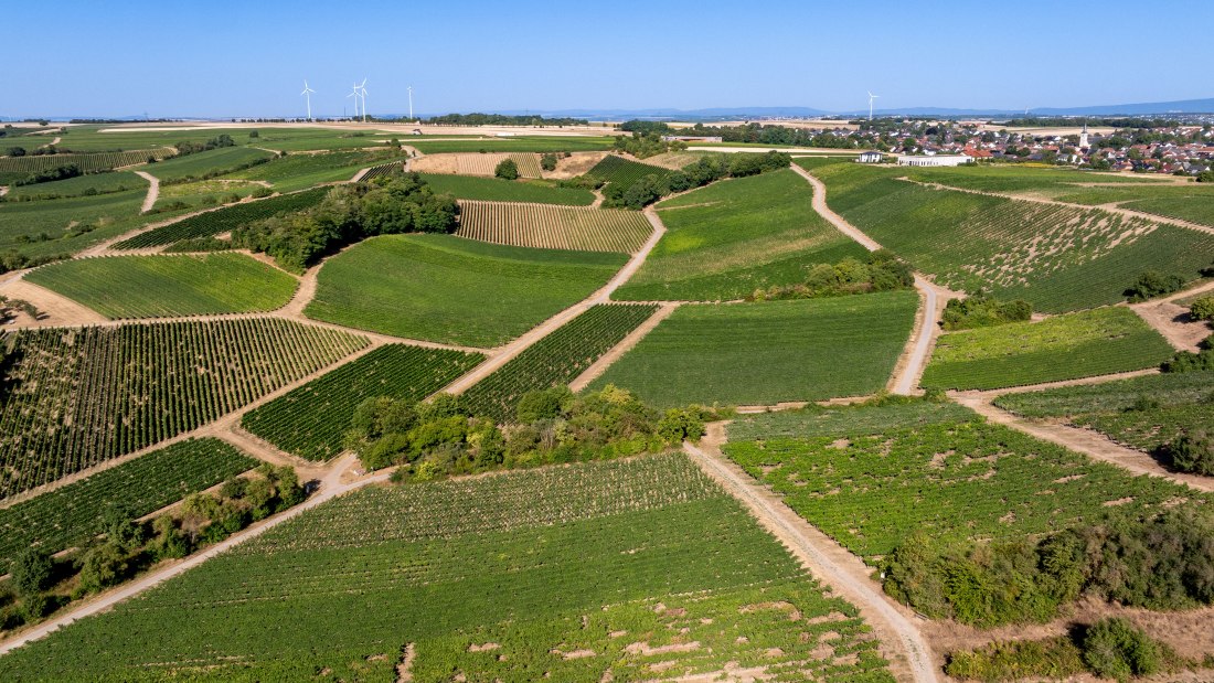 Harxheimer Schlo&szlig;berg-052 Kopie, &copy; Torsten Silz