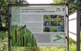 Infotafel "Biotop Rohrwiesen" &copy; Dominik Ketz