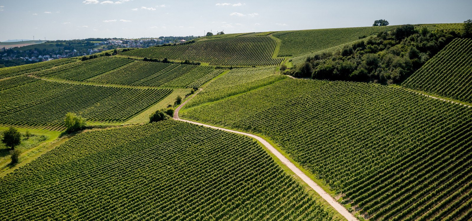 Gau-Bischofsheimer Glockenberg