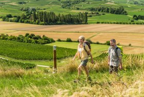 Hiwweltour © © Rheinhessen-Touristik GmbH, Foto: Dominik Ketz