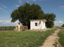 Wingertsh&auml;uschen Auf dem Winkel &copy; Dominik Ketz
