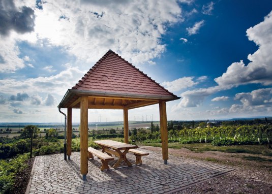 Weinpavillon Wallertheim © Antonio Sarnjai