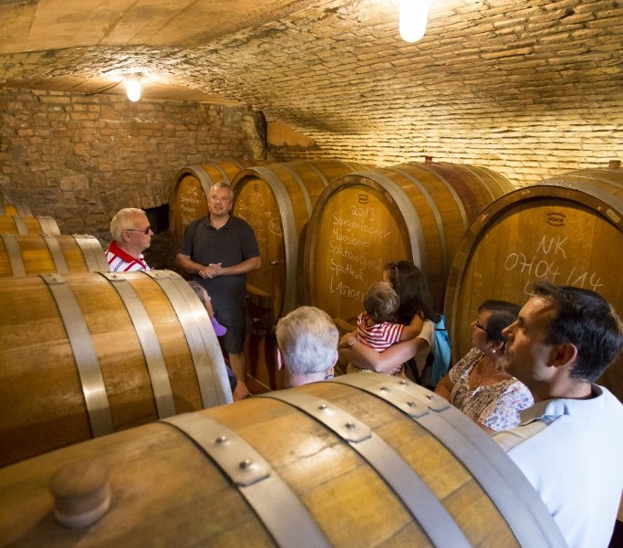 Weingut Helmut Best_Keller, &copy; Weingut Helmut Best