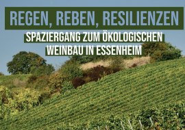 Spaziergang Essenheim, © Christian Wagner
