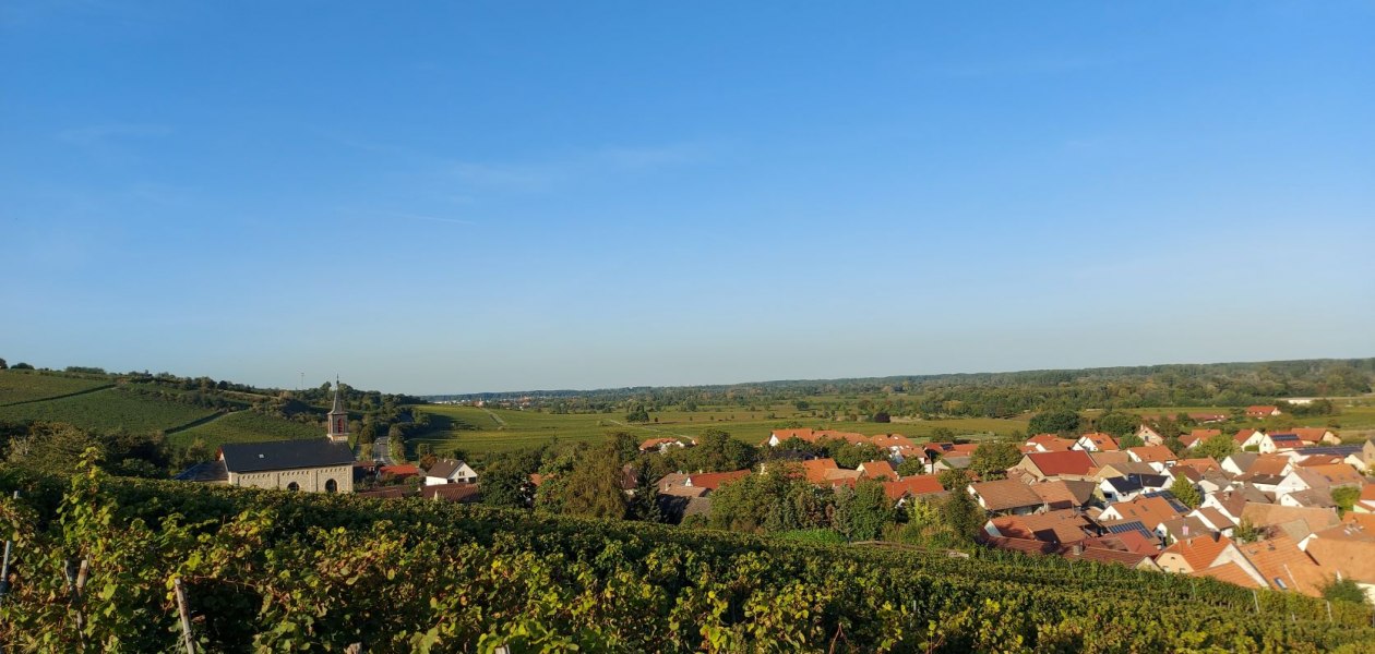 Weingut Otto Becker_Ludwigshoehe, &copy; Weingut Otto Becker