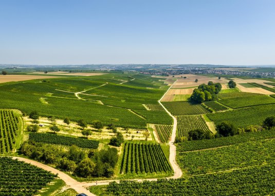 Neebs W&auml;ldchen &copy; Dominik Ketz - Rheinhessen Touristik GmbH
