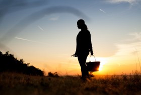 Weingut Schittler & Becker_Sonnenuntergang © Weingut Schittler & Becker