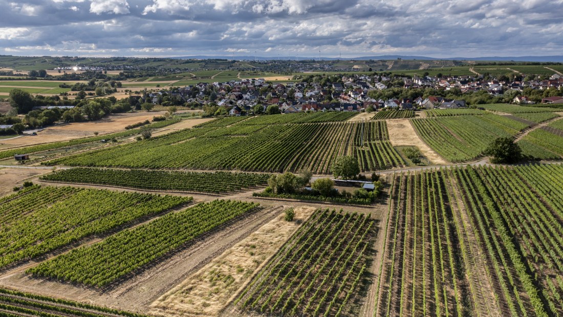 L&ouml;rzweiler K&ouml;nigstuhl