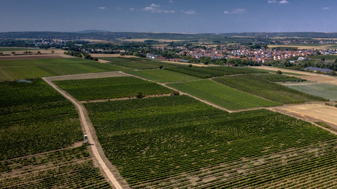 Offsteiner Engelsberg