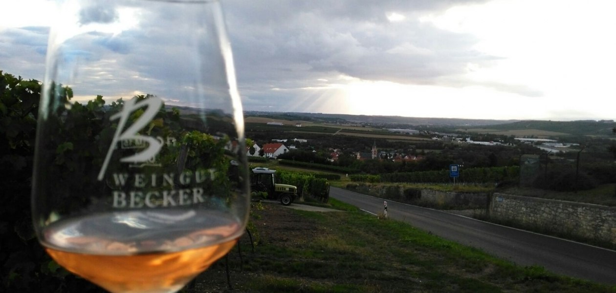 Weingut Becker_Weinglas, &copy; Weingut Becker