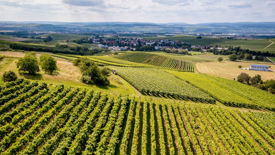 Horrweiler Gew&uuml;rzg&auml;rtchen