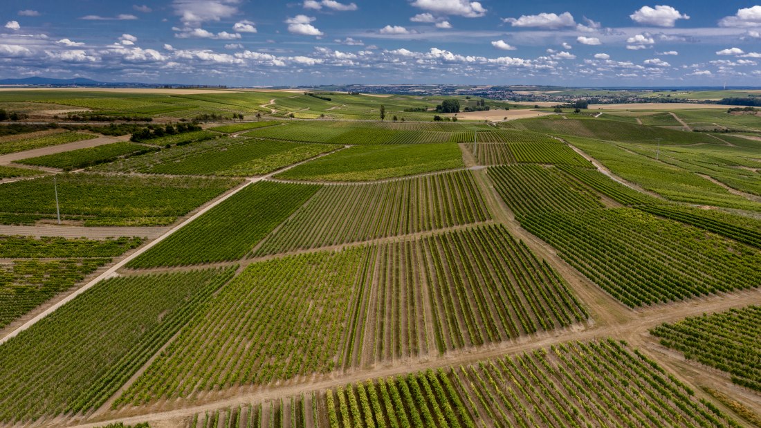 Gau-Weinheimer Geyersberg