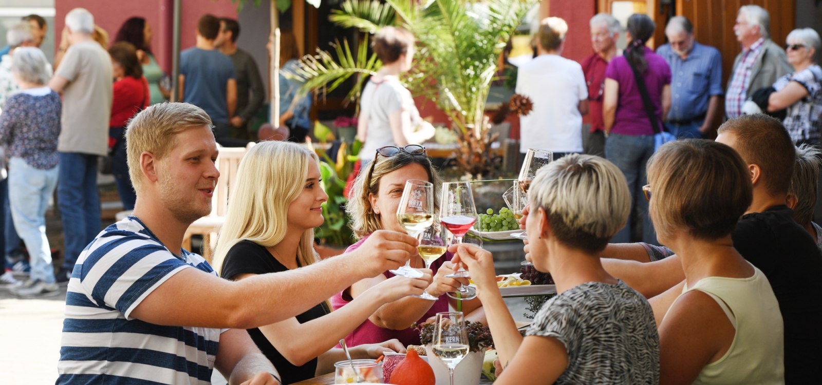 Veranstaltung im Weingut