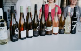 Weingut Finkenauer 02 © Weingut Finkenauer
