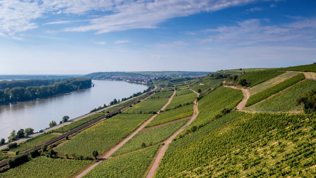 Niersteiner Pettenthal