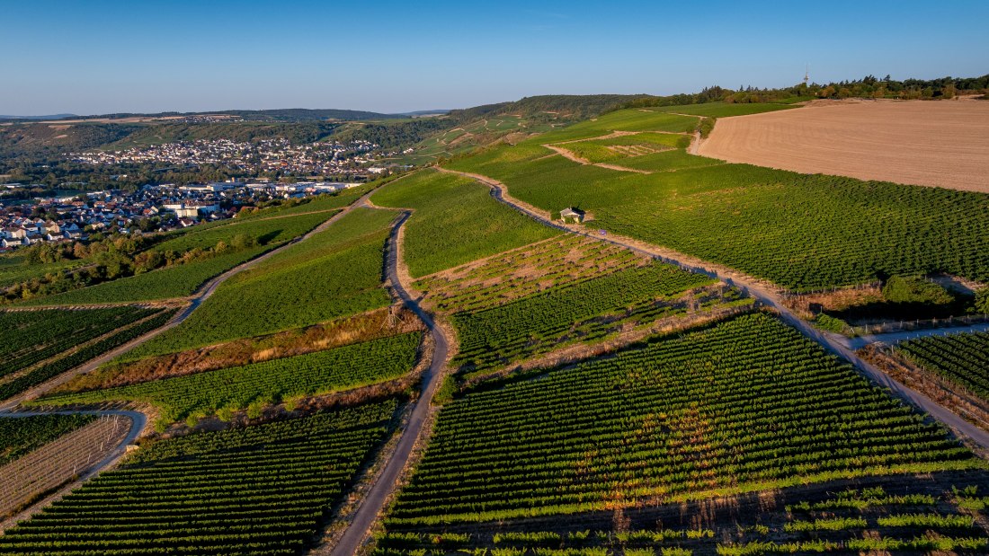 Bingen Schlo&szlig;berg-Schwätzerchen - 08