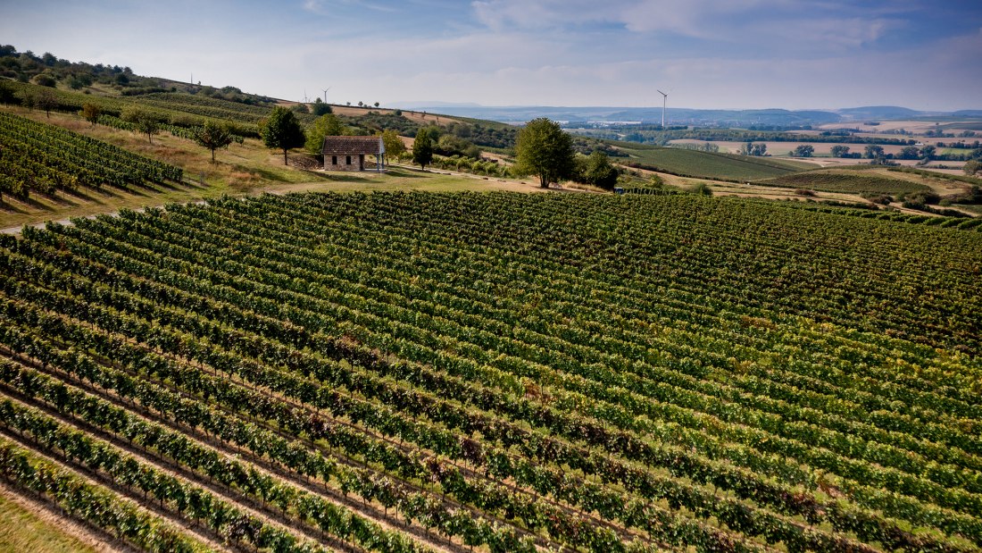 Sprendlinger Wi&szlig;berg