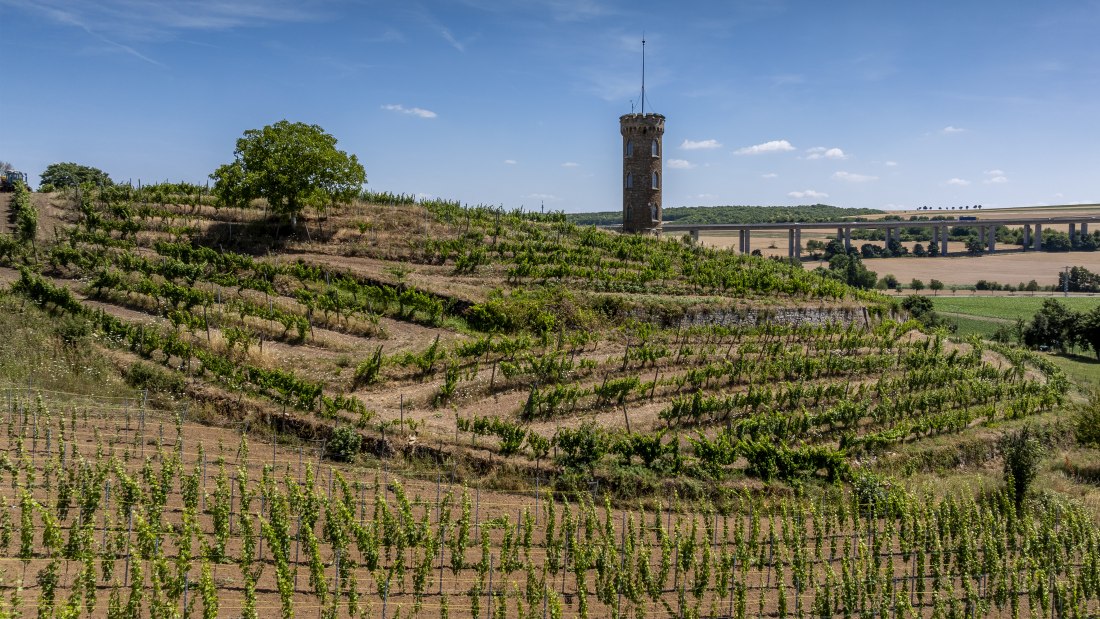 Weinheimer Heiliger Blutberg, &copy; Torsten Silz