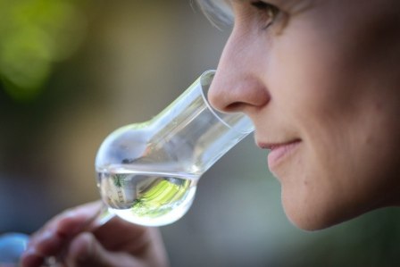 Weingut & Brennerei Otto Nehrba&szlig;_Schnapsglas &copy; Weingut & Brennerei Otto Nehrba&szlig;