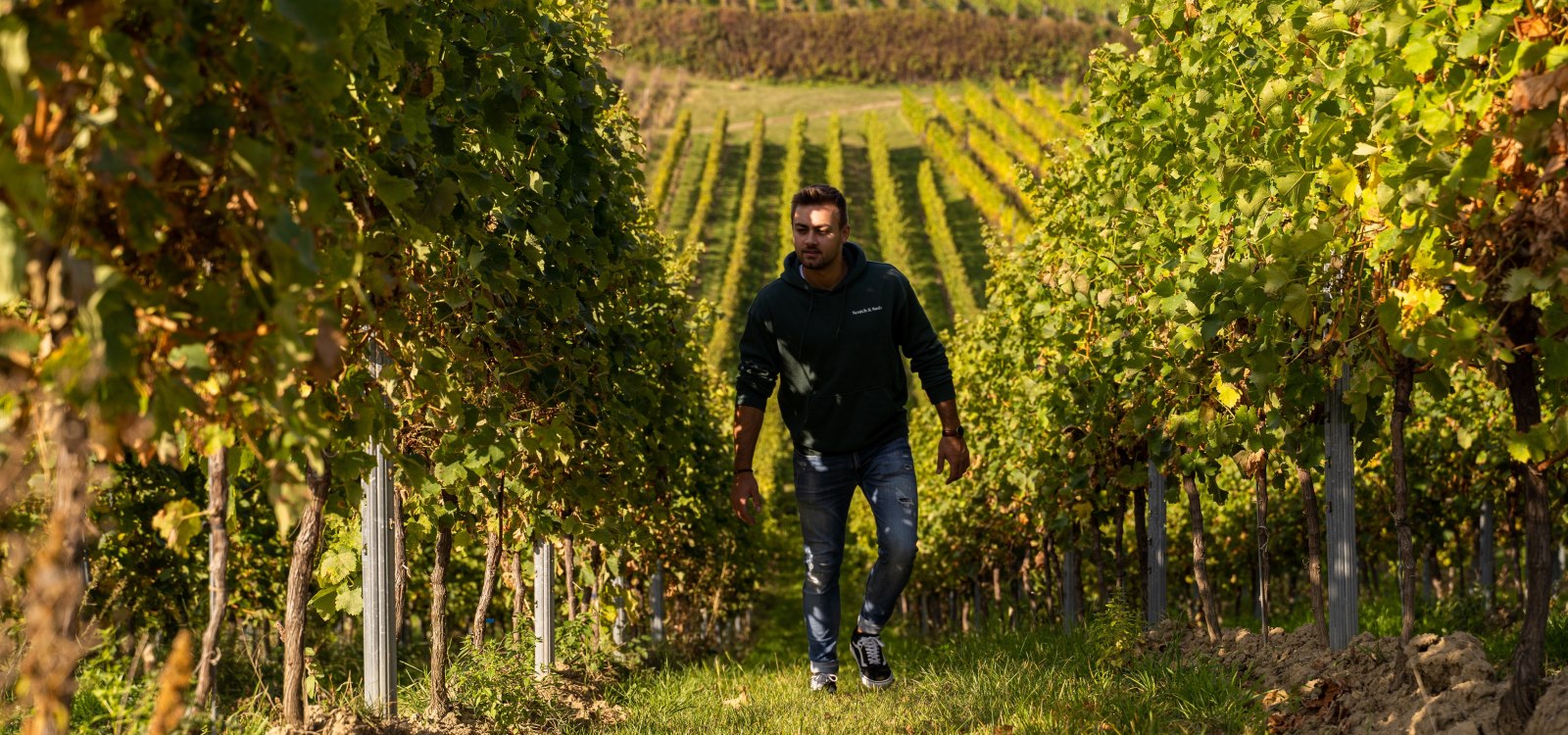 Mark Hahn Weine_Winzer in den Weinbergen, &copy; Mark Hahn Weine Weingut Hahn GbR