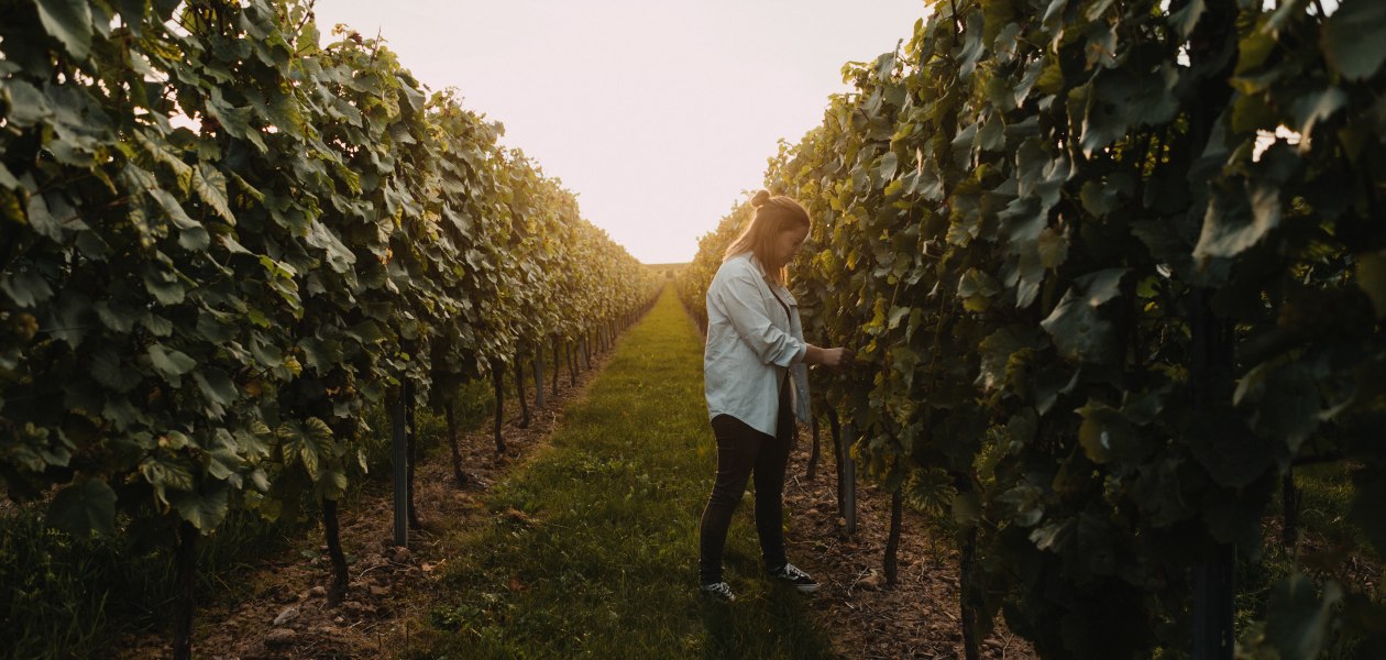 Weingut Krughof_Weinberg mit Marie, &copy; Weingut Krughof