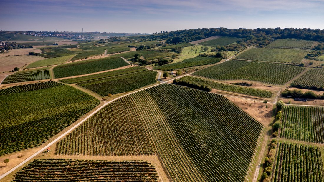 Sprendlinger Wißberg