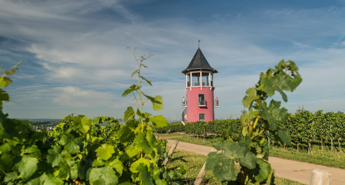 Weinberge mit Burgunderturm, &copy; Dominik Ketz