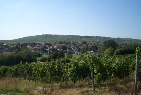 Gau-Weinheim © Erwin Gottschlich