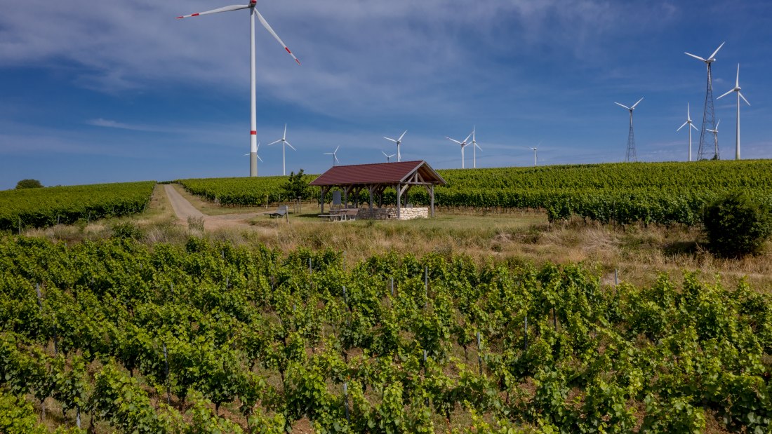 Gau-Heppenheimer Schlossberg