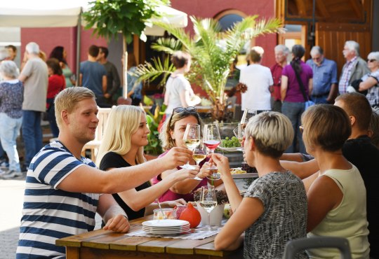 Veranstaltung im Weingut