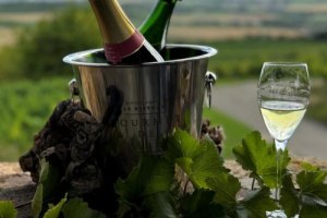 Eintauchen in die Welt des Schaumweins 1, &copy; Uwe Riedner