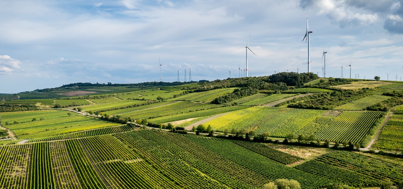 Framersheimer Hornberg