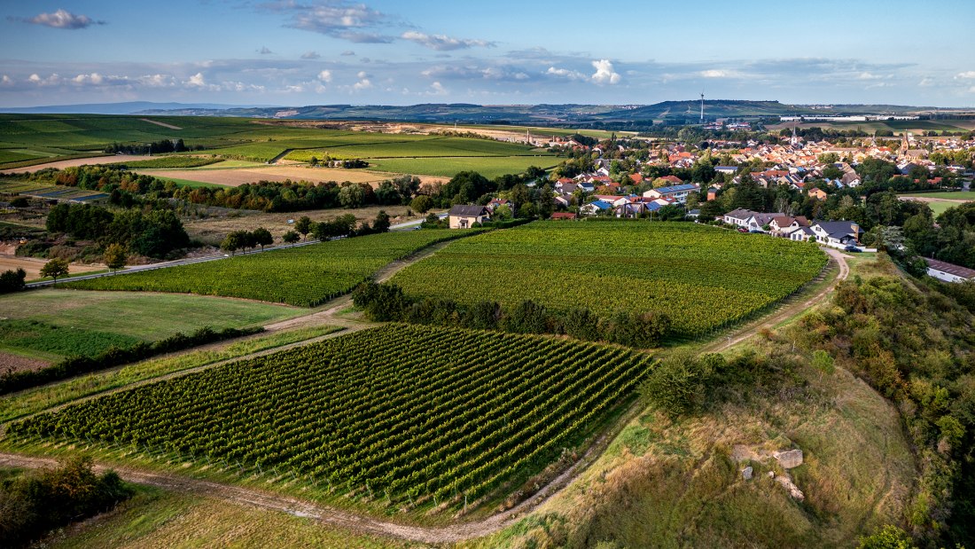 W&ouml;llsteiner &Ouml;lberg