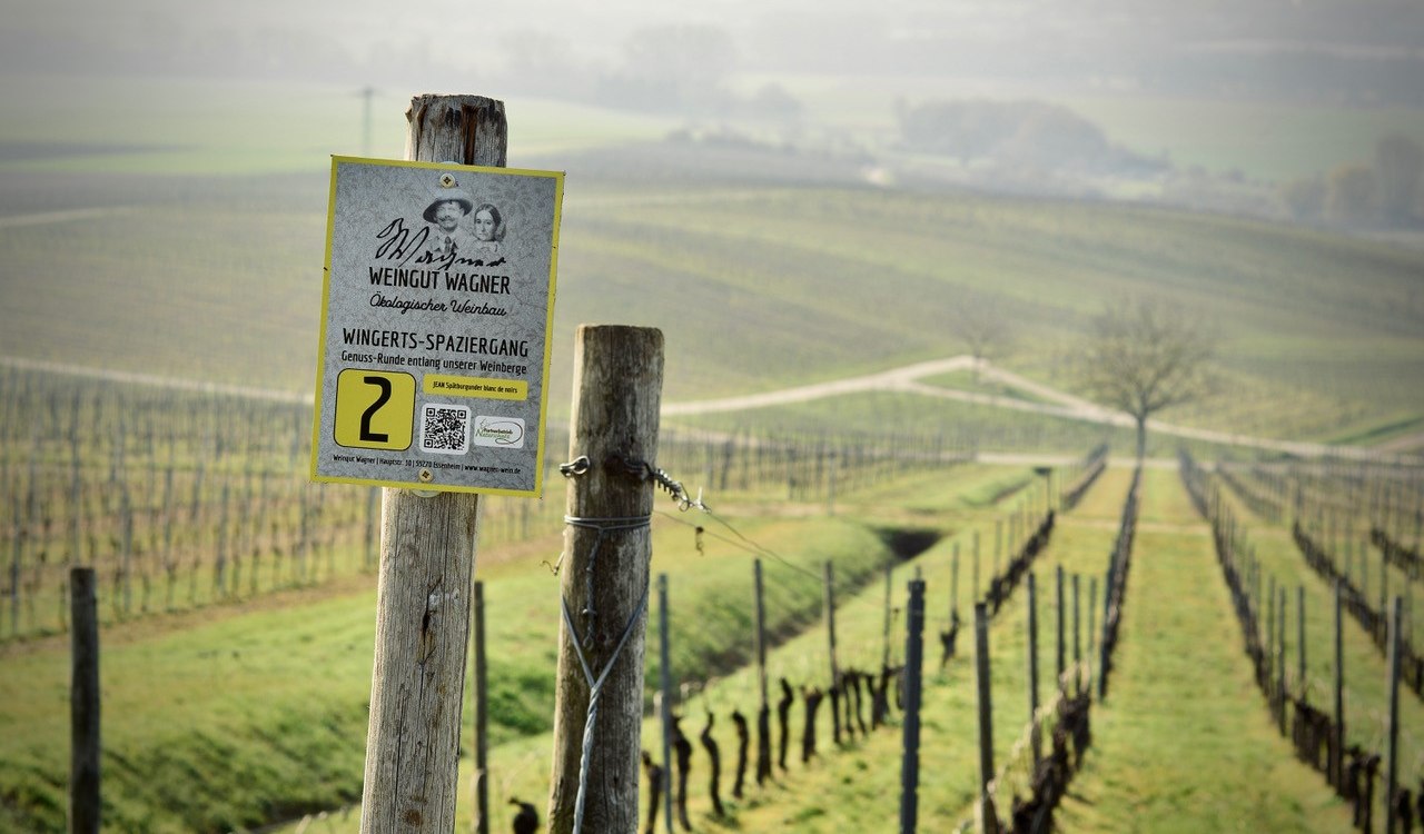 Weingut Wagner Spaziergang