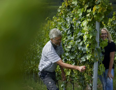 _MG_0880, © Weingut Doll & Göth