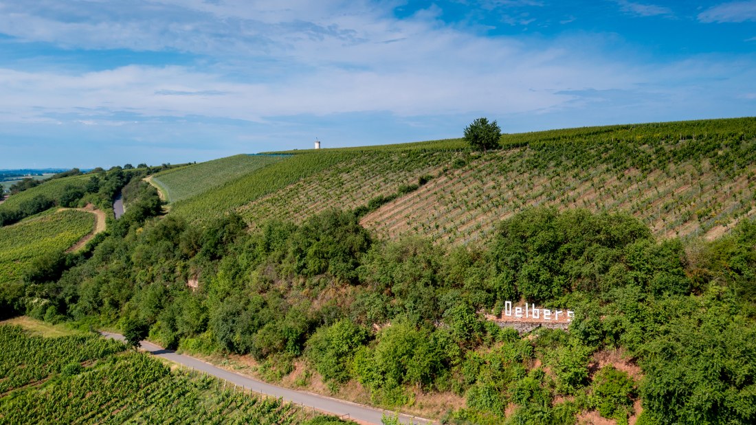 Niersteiner &Ouml;lberg