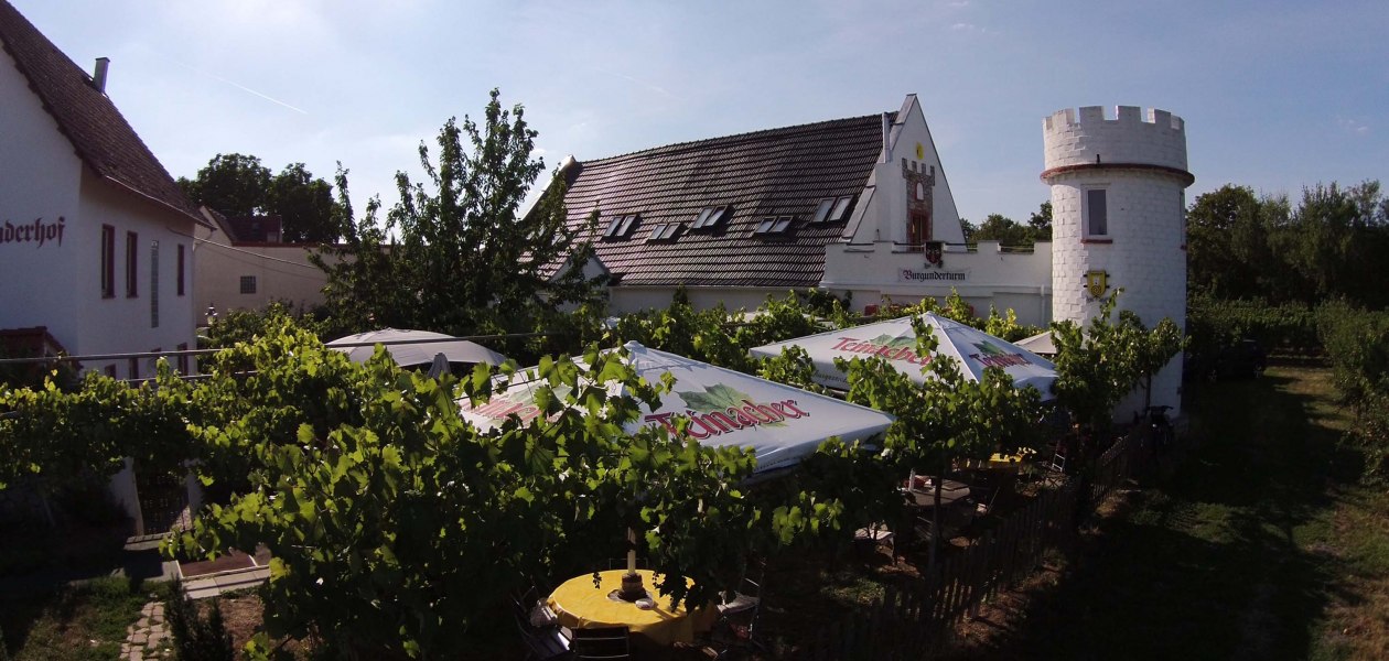 Burgunderhof Mergel_Weingut, &copy; Burgunderhof Mergel