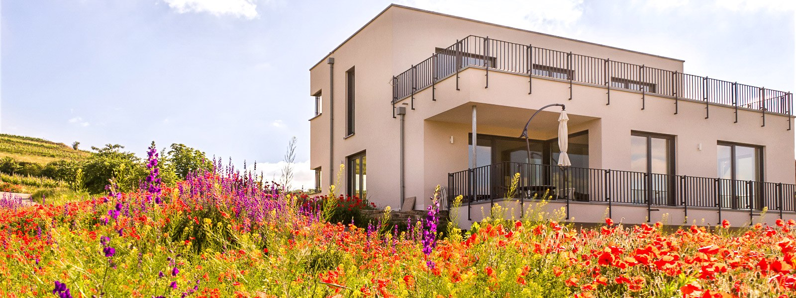 Vinothek, &copy; Weingut Weitzel