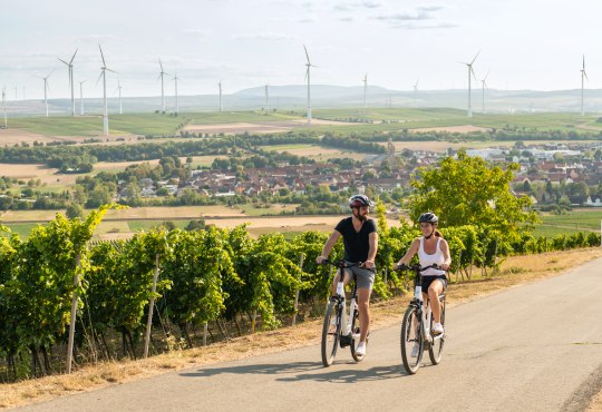 Wi&szlig;berg, &copy; Rheinhessen Touristik GmbH, Dominik Ketz