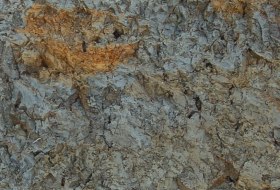 Tonmergel Pelosol, © Landesamt für Geologie und Bergbau Rheinland-Pfalz