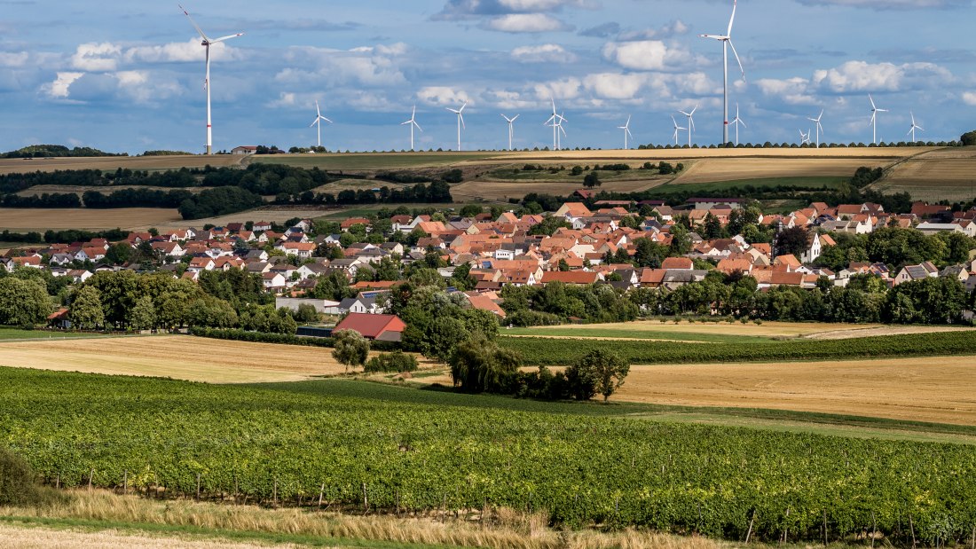 Mauchenheimer Sioner Klosterberg