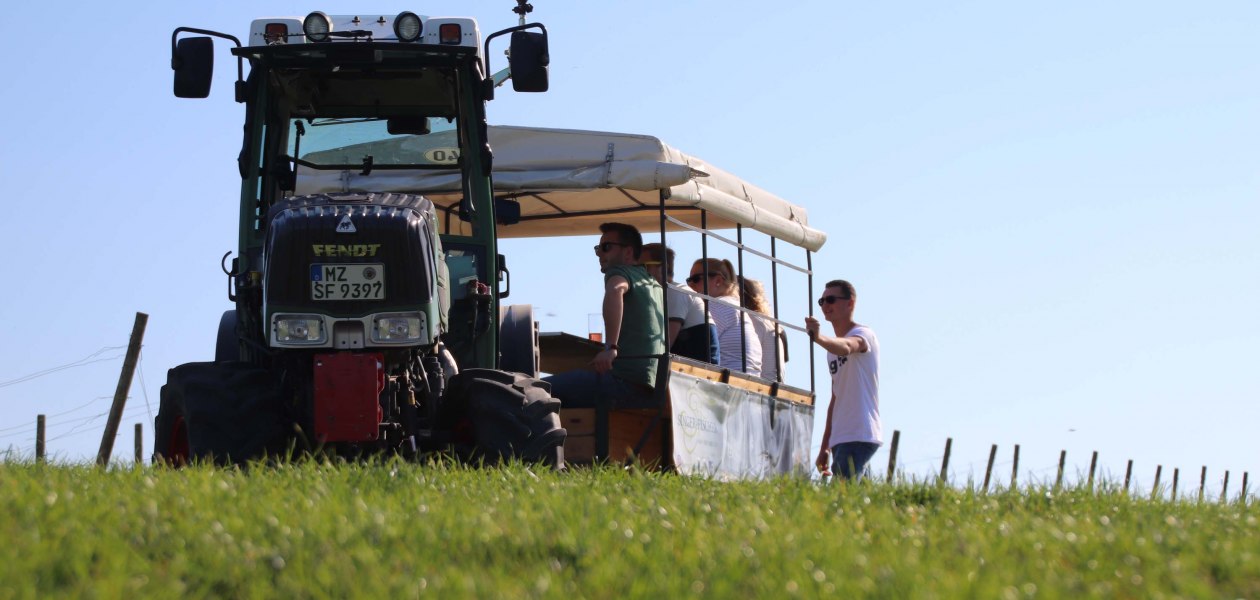 Weingut Singer-Fischer_Planwagenfahrt, &copy; Max Singer-Fischer