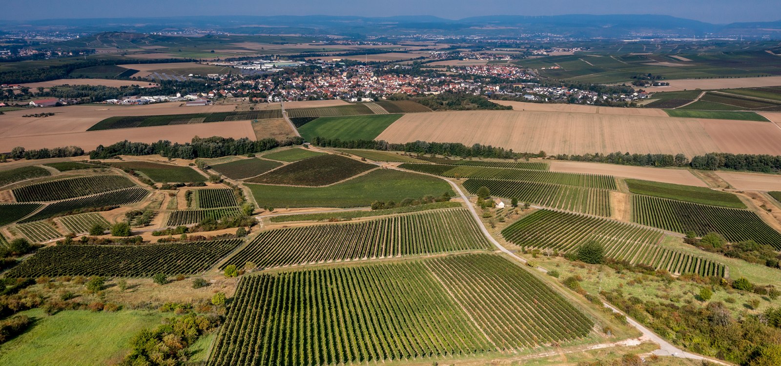 Sprendlinger Wi&szlig;berg