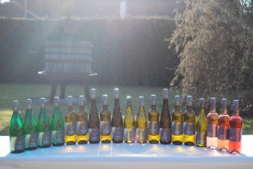 Weingut Siebenhof_Weinflaschen, &copy; Weingut Siebenhof
