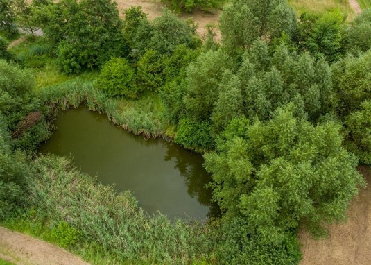 Biotop Rohrwiesen © Dominik Ketz