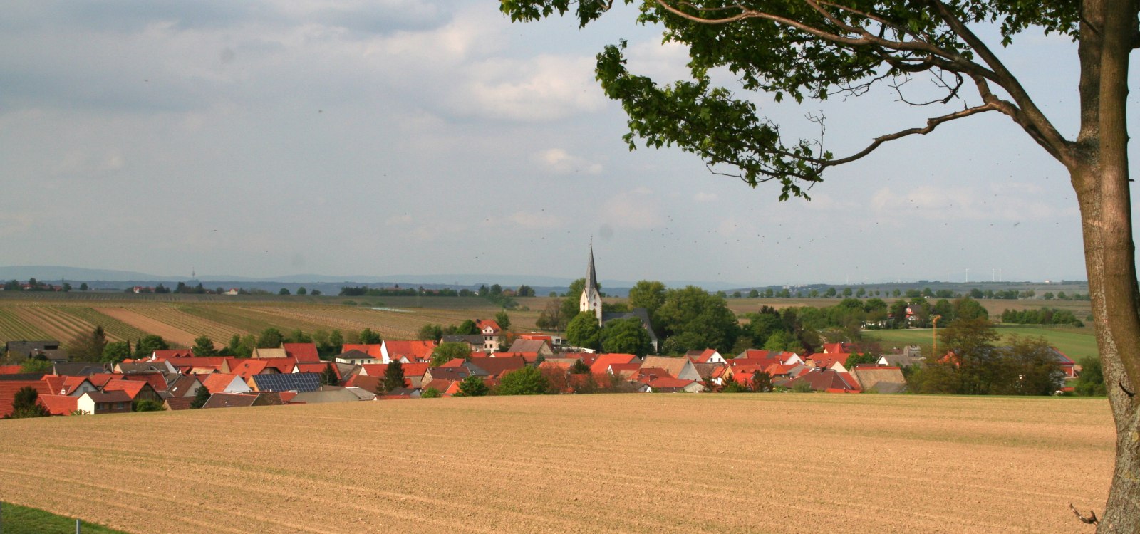 Gabsheim, © Dr. Post