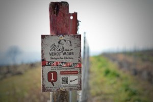 Geführte Krimiwanderung, © Weingut Wagner