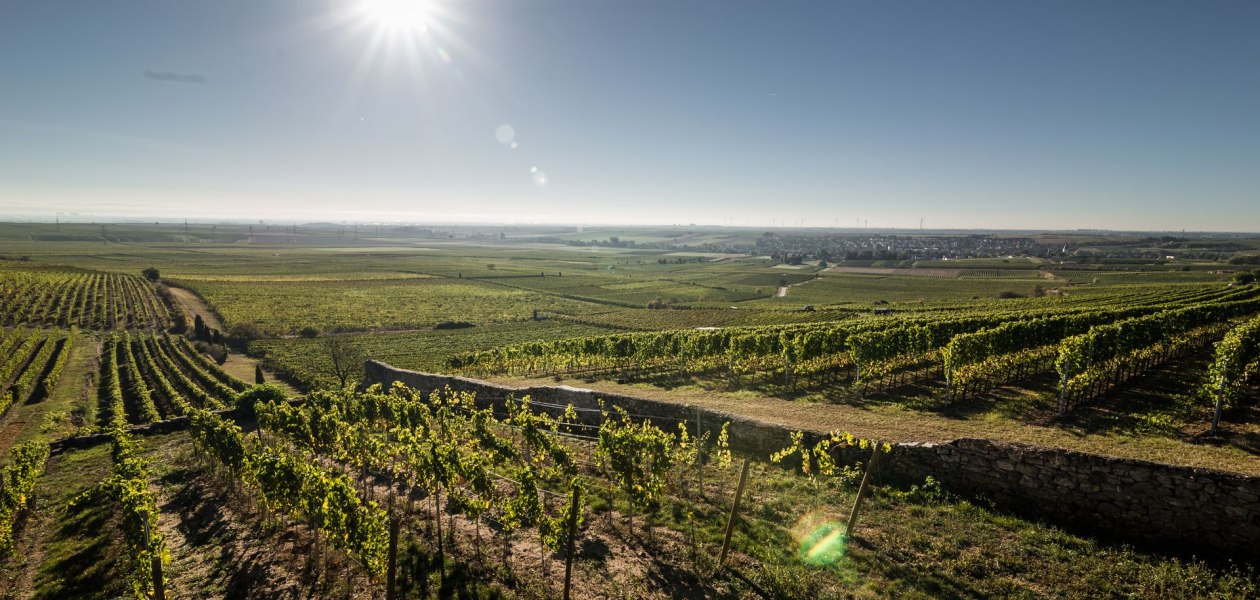 Weingut Helmut Geil_Monzernheim, &copy; Weingut Helmut Geil