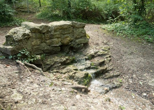 Neubornquelle © Dominik Ketz